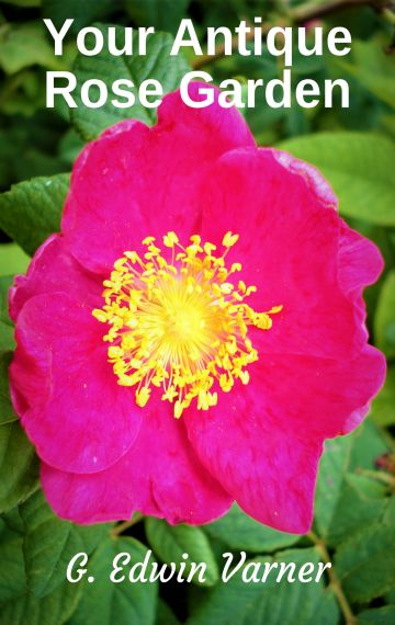Your Antique Rose Garden